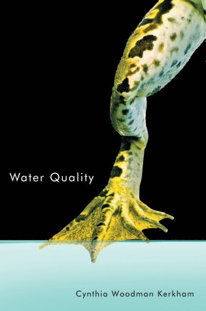 Cynthia Woodman Kerkham - Water Quality, E-bok