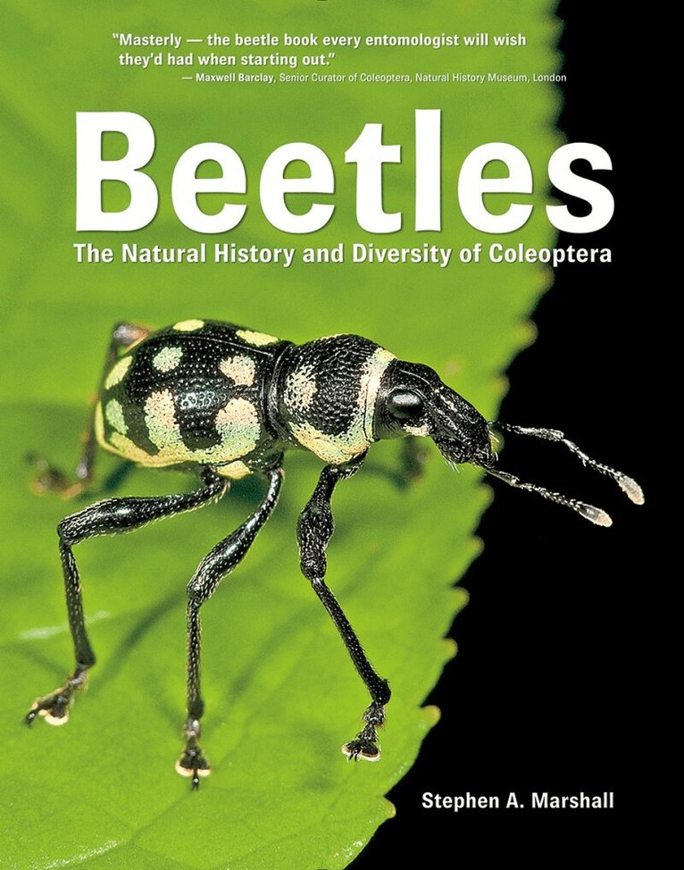 Stephen A. Marshall - Beetles, Inbunden
