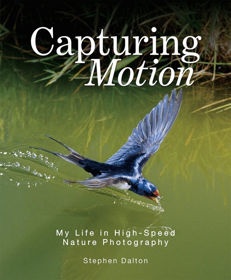Stephen Dalton - Capturing Motion: My Life in High Speed Nature Photography, Inbunden