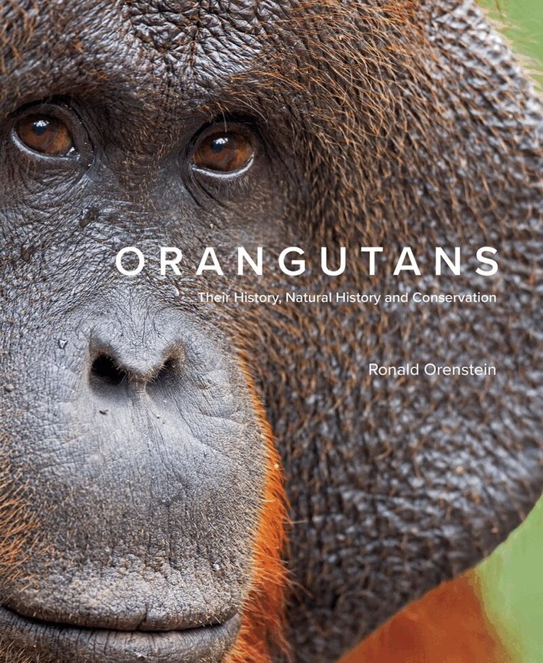 Ronald Orenstein - Orangutans, Inbunden