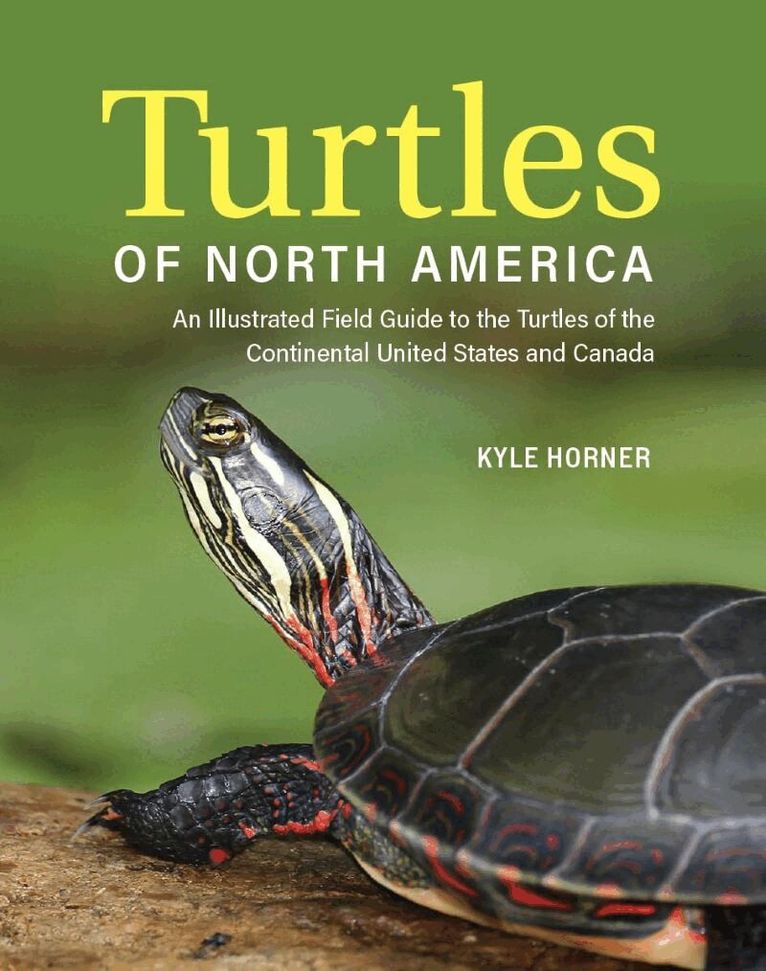 Turtles of North America
