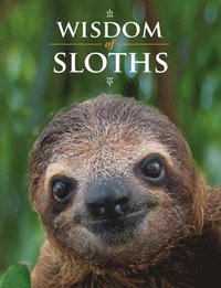 Wisdom of Sloths