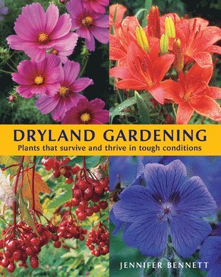 Jennifer Bennett - Dryland Gardening: Plants That Survive and Thrive in Tough Conditions, Häftad