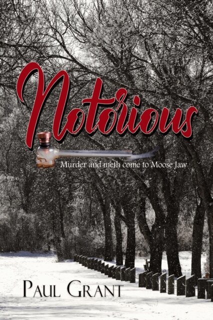 Paul Grant - Notorious, E-bok