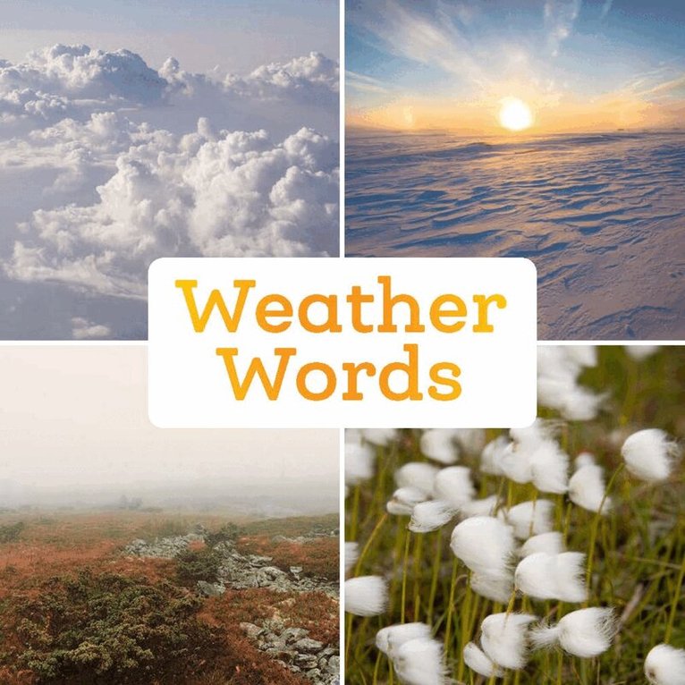 Arvaaq Press - Weather Words, Häftad