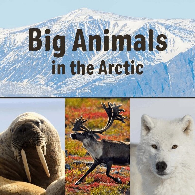 Arvaaq Press - Big Animals in the Arctic, Häftad