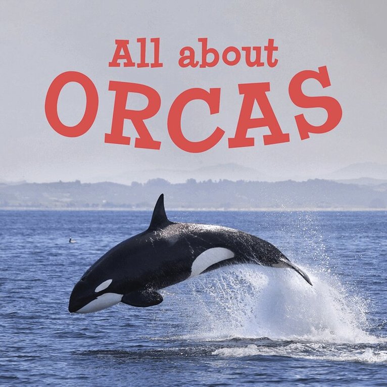 Jordan Hoffman - All about Orcas, Häftad. Tillgänglighet: Tillfälligt slut