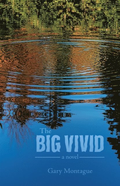 Gary Montague - Big Vivid, E-bok
