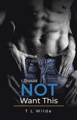 T L Wilde - I Should Not Want This, Häftad. Tillgänglighet: Lägg i varukorg
