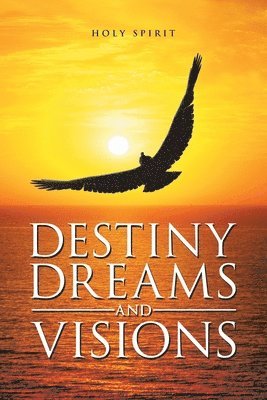 Jcbu Undercover - Destiny Dreams and Visions, Häftad. Tillgänglighet: Lägg i varukorg