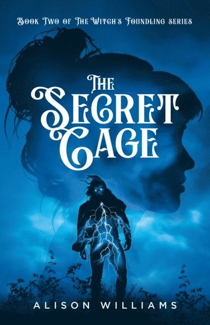 Alison Williams - Secret Cage, E-bok