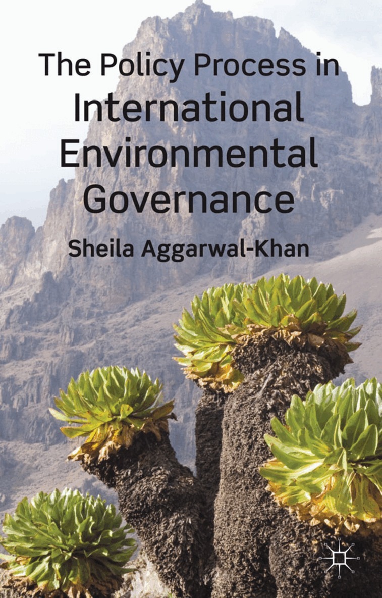 Policy Process in International Environmental Governance
