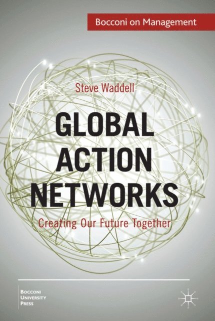 Steve Waddell - Global Action Networks, E-bok