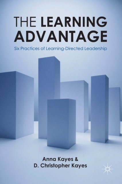 Anna Kayes, D. Christopher Kayes - Learning Advantage, E-bok