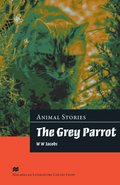 Grey Parrot Advanced