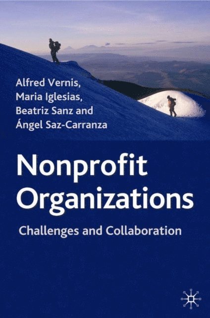 Angel Saz-Carranza, Beatriz Sanz, M. Iglesias, Alfred Vernis - Nonprofit Organizations, E-bok