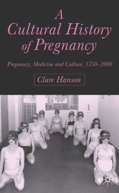 C. Hanson - Cultural History of Pregnancy, E-bok