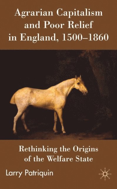 Larry Patriquin - Agrarian Capitalism and Poor Relief in England, 1500-1860, E-bok