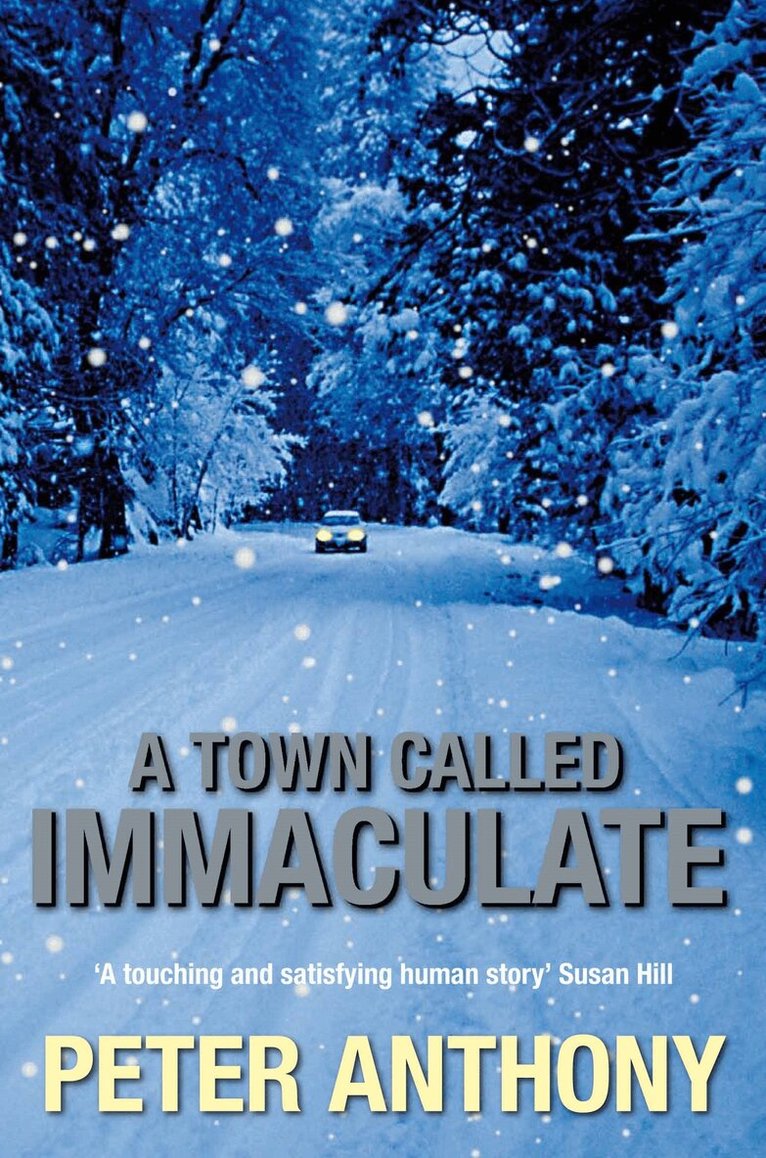 Peter Anthony - Town Called Immaculate, E-bok