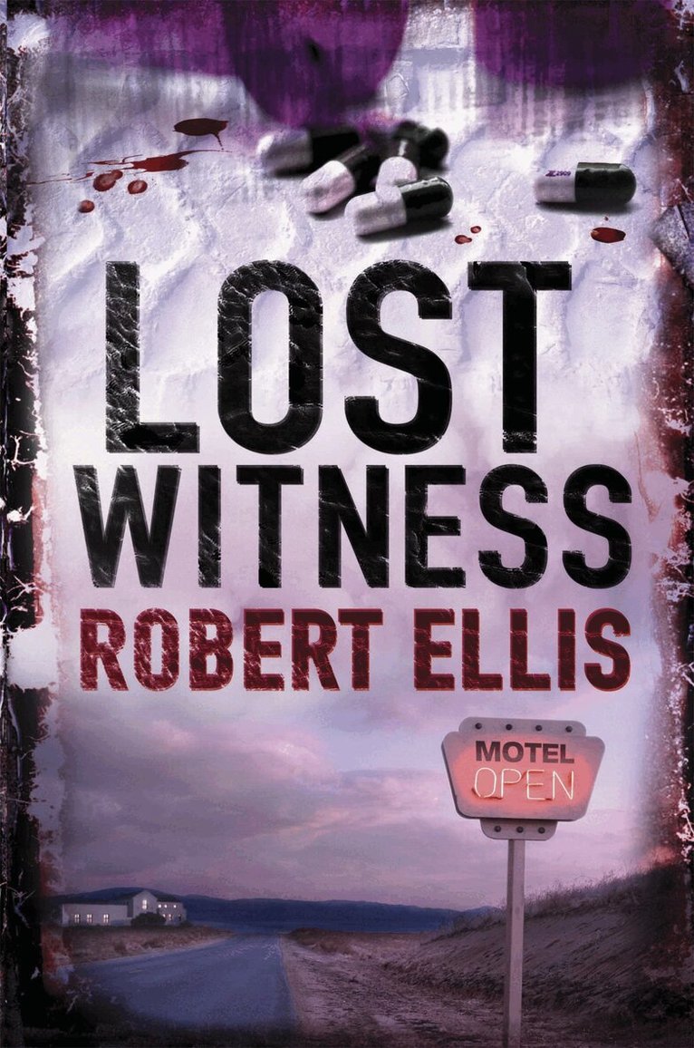 Robert Ellis - Lost Witness, E-bok