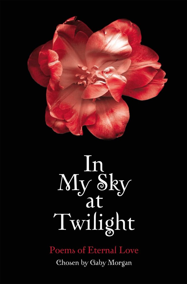Gaby Morgan - In My Sky at Twilight, E-bok
