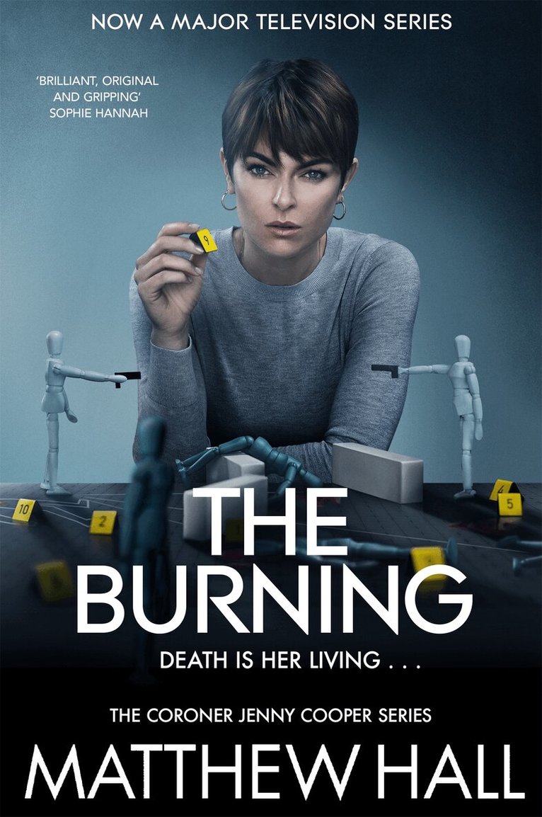 Matthew Hall - Burning, E-bok
