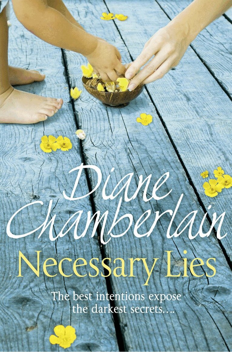 Diane Chamberlain - Necessary Lies, E-bok