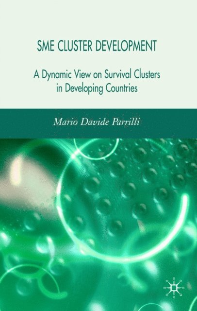M. Parrilli - SME Cluster Development, E-bok