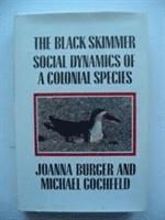 The Black Skimmer