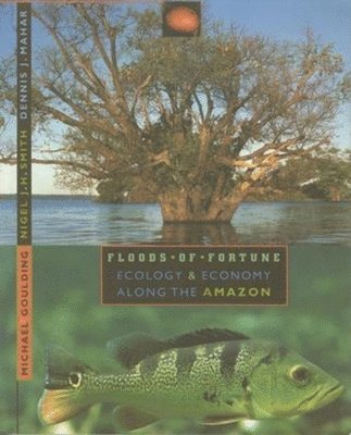Michael Goulding, Nigel Smith, Dennis Mahar - Floods of Fortune, Häftad. Tillgänglighet: Tillfälligt slut