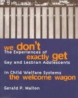 Gerald P. Mallon - We Don't Exactly Get the Welcome Wagon, Häftad. Tillgänglighet: Lägg i varukorg