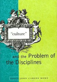 'Culture' and the Problem of the Disciplines