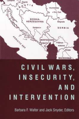 Barbara Walter, Jack Snyder - Civil Wars, Insecurity, and Intervention, Häftad