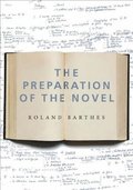 The Preparation of the Novel