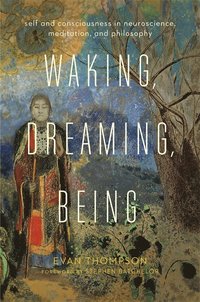 Waking, Dreaming, Being