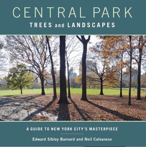Edward Barnard, Neil Calvanese - Central Park Trees and Landscapes, Häftad. Tillgänglighet: Tillfälligt slut