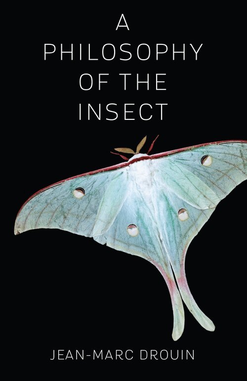 Jean-Marc Drouin - Philosophy of the Insect, Häftad