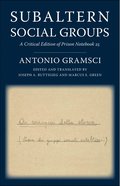 Subaltern Social Groups