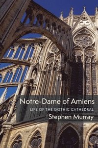 Notre-Dame of Amiens