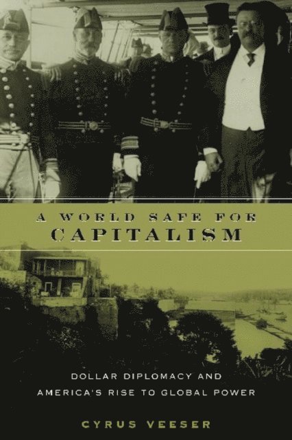 Cyrus Veeser - World Safe for Capitalism, E-bok
