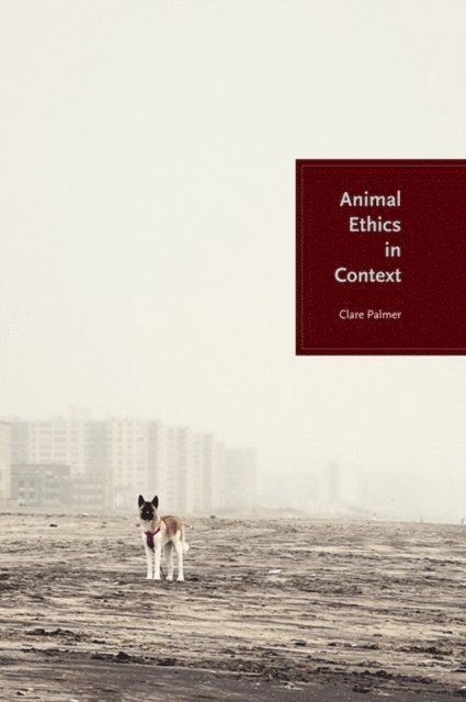 Clare Palmer - Animal Ethics in Context, E-bok