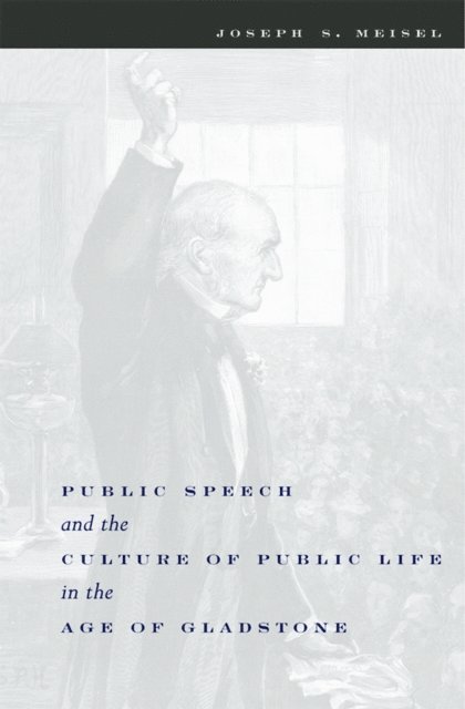 Joseph S. Meisel - Public Speech and the Culture of Public Life in the Age of Gladstone, E-bok