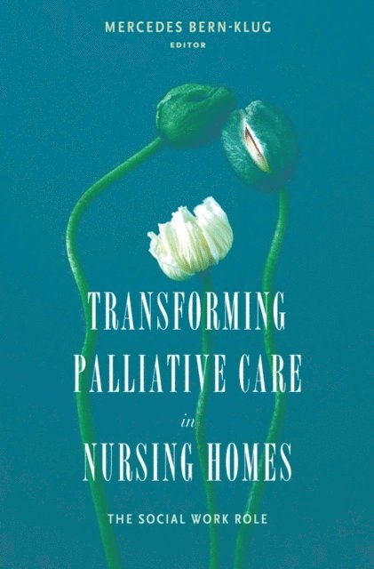 Mercedes E. Bern-Klug - Transforming Palliative Care in Nursing Homes, E-bok