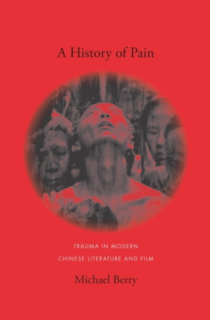 Michael Berry - History of Pain, E-bok