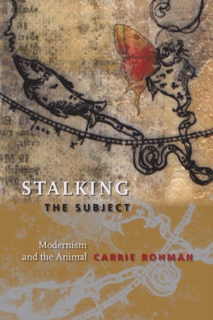 Carrie Rohman - Stalking the Subject, E-bok