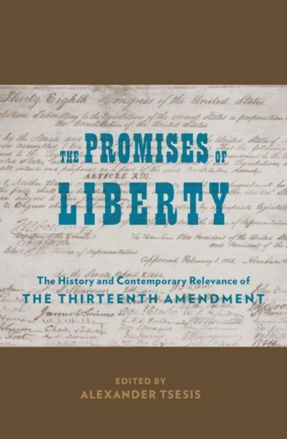 Alexander Tsesis - Promises of Liberty, E-bok
