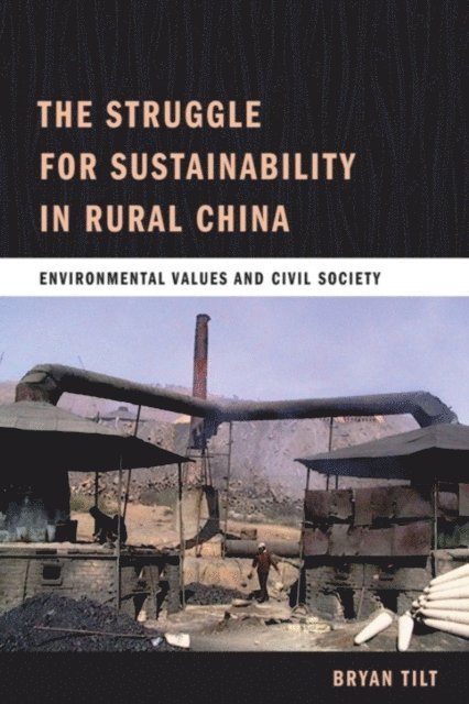 Bryan Tilt - Struggle for Sustainability in Rural China, E-bok