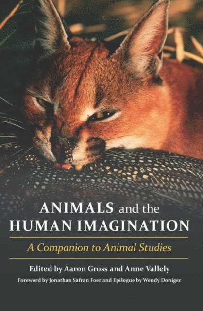 Aaron S. Gross, Anne Vallely - Animals and the Human Imagination, E-bok