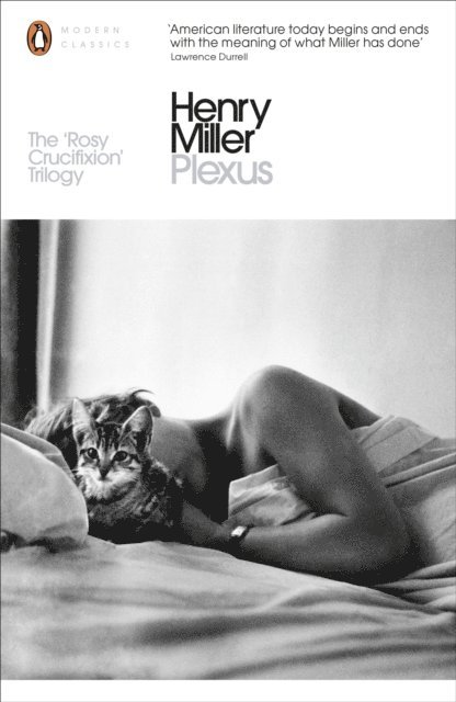 Henry Miller - Plexus, E-bok
