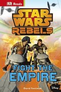 Star Wars Rebels Fight The Empire!